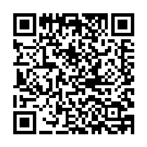 但只是看一名无角人掌握了本该属于他们的炼骨传承二维码生成