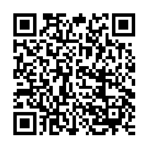 但只有寒菲樱自己心底才明白自己也处在最为迷茫和懵懂的时刻二维码生成