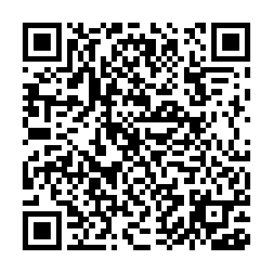 但只要虎头一拿起吃的他们就会有人出面阻拦或直接抢走他手里的食物二维码生成