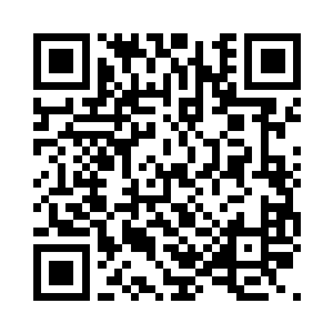 但可以肯定他们肯定是马里奥派来的人了二维码生成