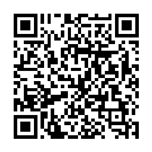 但可惜的是这样的天赋伴随着时光的流逝已经所剩不多二维码生成
