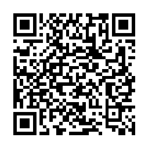 但叶尊和阴老鬼之间的战斗他们还是在暗自关注着二维码生成