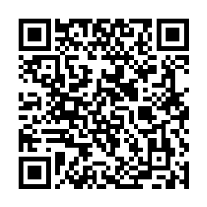 但叶尊这寻找领悟意志的方法却是从根本解决了问题二维码生成