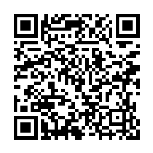 但叶楚和弱水都不是因为他的血腥而杀戮而惊讶二维码生成