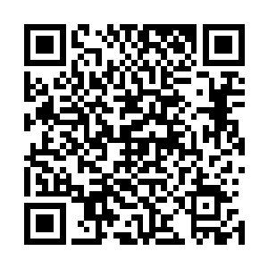 但叶秋作为一名可以在世界杀手排名中排在前五的战神叶秋二维码生成