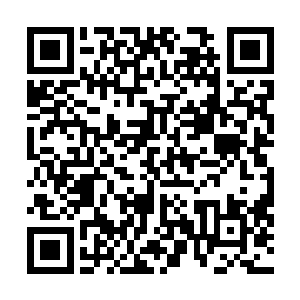 但吃了一顿饭回来发现网站抽了……死活打不开作者专区二维码生成