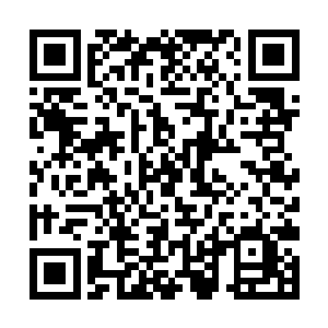 但同时也造成了二十几个无辜的人死在樱花的枪口下二维码生成