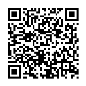 但同时他们还拿到了一座金酸梅奖杯――布拉德二维码生成