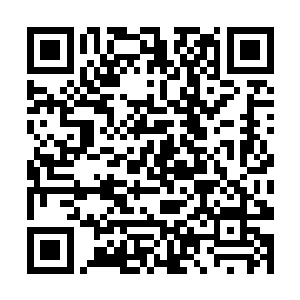 但同样也是因为一部作品就可以一无所有的人间地狱二维码生成