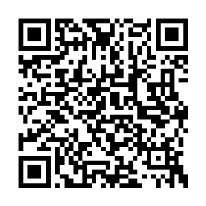 但后宫团中还有一名来自墨绿森林的精灵族少女二维码生成