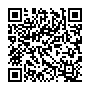 但后者自幼便有出人头地在战阵上搏个功名的抱负二维码生成