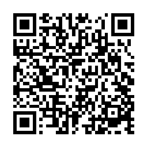 但吕轻尘却继承了它绝大部分的记忆碎片和数据库二维码生成