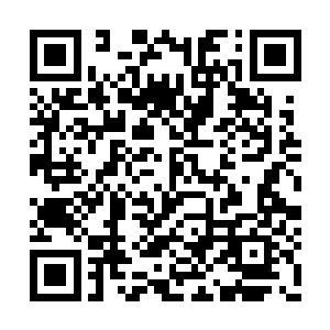 但听说韩国还有好几名能和他五五开的中路选手二维码生成