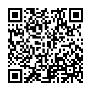 但和精灵们在一起忙碌的分身已经快要过劳死了二维码生成