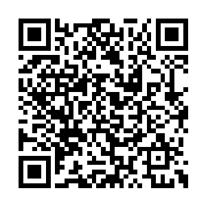 但咱们部队所在的这个地界实在是没什么好东西二维码生成