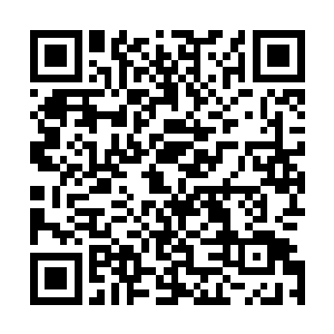 但唐神机还是涌起深深的忧虑――全大陆的强者军事化管理二维码生成