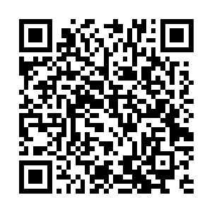 但唯一清楚的就是对方已经逃窜到了我们特里琼斯城的范围二维码生成