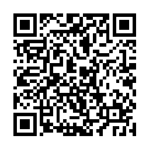 但善恶树和生命树在双生状态下展现出来的可怕力量二维码生成