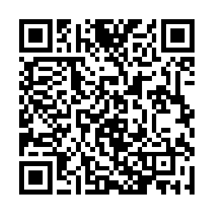 但回来宁郝演绎的主角清楚的记得在他十一岁的儿时二维码生成
