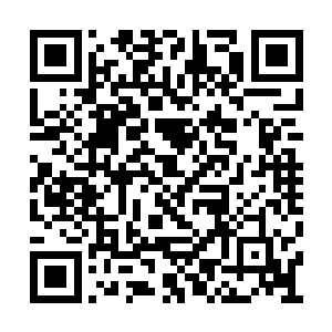但回过神来的第一件事必是要置你们姐弟于死地二维码生成