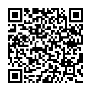 但因为你的寻灵大师还有龙凤榜第一这个身份才值得这个价二维码生成