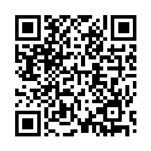 但因为实力不足上面诸多封印解不开二维码生成