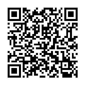 但圣弃界这三个字却已经被他们牢牢的记在了心中二维码生成