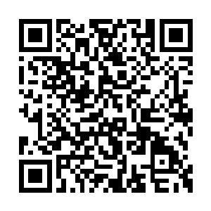 但在世界濒临毁灭的前提下却比四十年还要难熬二维码生成