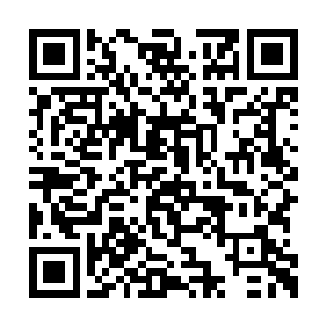 但在五五开直播间里混久了的老观众却都在发出二维码生成