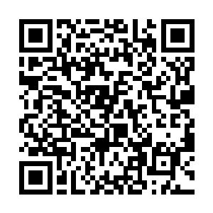 但在他这个可以在世界杀手排名前五的战神叶秋面前二维码生成