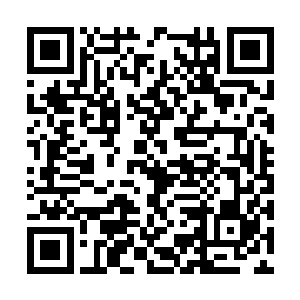 但在场的不少公子级别的天才已经是半步异象修为二维码生成