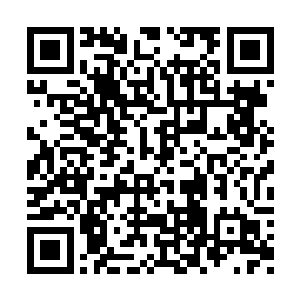 但在夏季赛出场率却已完全沦为二线的打野英雄二维码生成