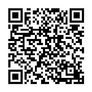 但在大伙都专心搜寻赤巢的时候提出洗澡又实在是不合时宜二维码生成