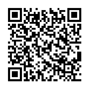 但在我儿子面前我永远是一个无私奉献的伟大妈妈二维码生成