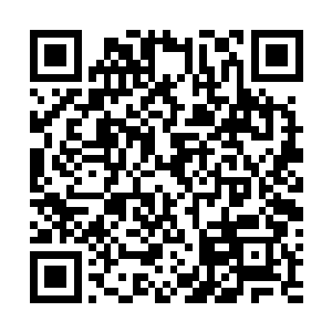 但在旅火元神眼中却能体会到强大青源在这些回路上奔涌二维码生成