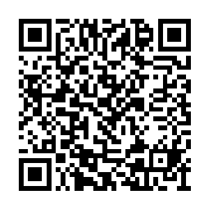 但在早有准备的网络安全公司的反制下无功而返二维码生成