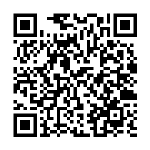但在杜预勇猛若狮子般的猛打猛冲和千年冰蚕的寒毒之下二维码生成