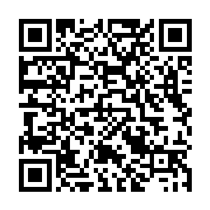 但在极限巫师与强大神力的战斗当中还是显得太过脆弱二维码生成