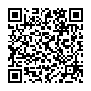 但在比赛前8分钟的时候他还是被压了整整20几个补刀二维码生成