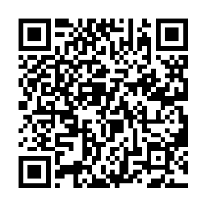 但在知道眼前这山谷很有可能便是传说中的凤谷之后二维码生成