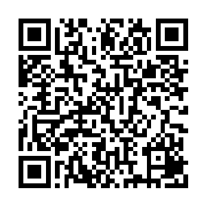 但在罗伯特甚至愿意把它写进续签合同的担保下二维码生成