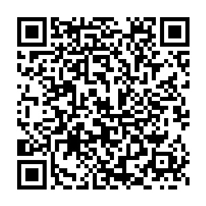 但在这凤阳城中面对这些眼线几乎遍布全城每一个角落的各方势力寻找二维码生成