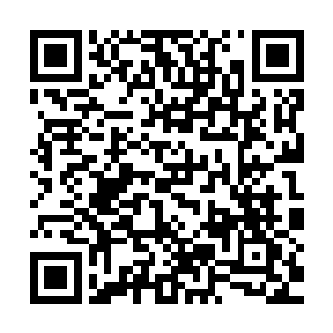 但在队伍里的地位和威望还是远不如gogoing和pdd这种霸主级上单二维码生成