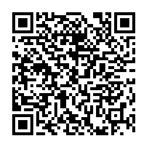 但在霍君白的灵气支撑的屏障下只能不甘的散成千百道银蛇化解于无形二维码生成