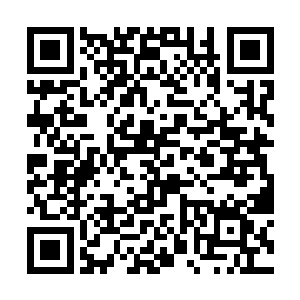 但在魔界小公主成人仪式上他们没有找到动手的理由二维码生成