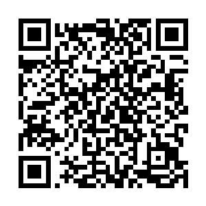 但地榜候选人第一名这个位置绝对可以引起所有人注意的二维码生成