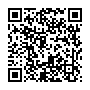 但地面上越来越多的黑色植物让三人都忍不住严肃起来二维码生成