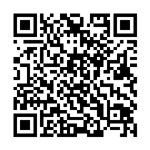 但处理一个不过是金丹之境的小佛修倒是轻而易举的二维码生成