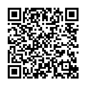 但大地骑士的轰击对那条金蛇来说似乎毫无作用二维码生成