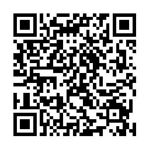 但大多数时间都是比较普通在自己领域有所成就的年轻人二维码生成